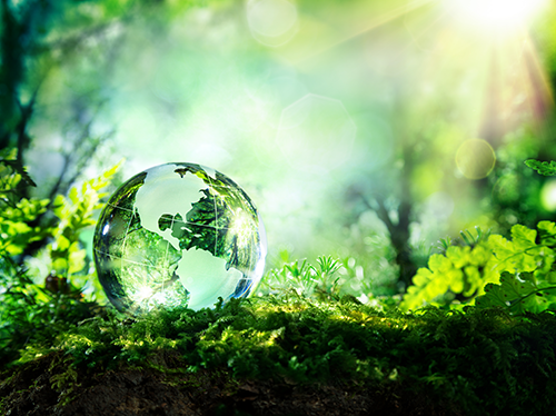 save-the-planet-repalnet Bancali in legno: più attenzione per l'ambiente