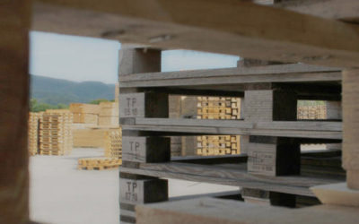 Immagine con pallet per conai del legno variazione 2025