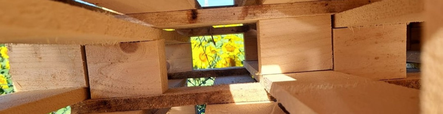 pallet usati