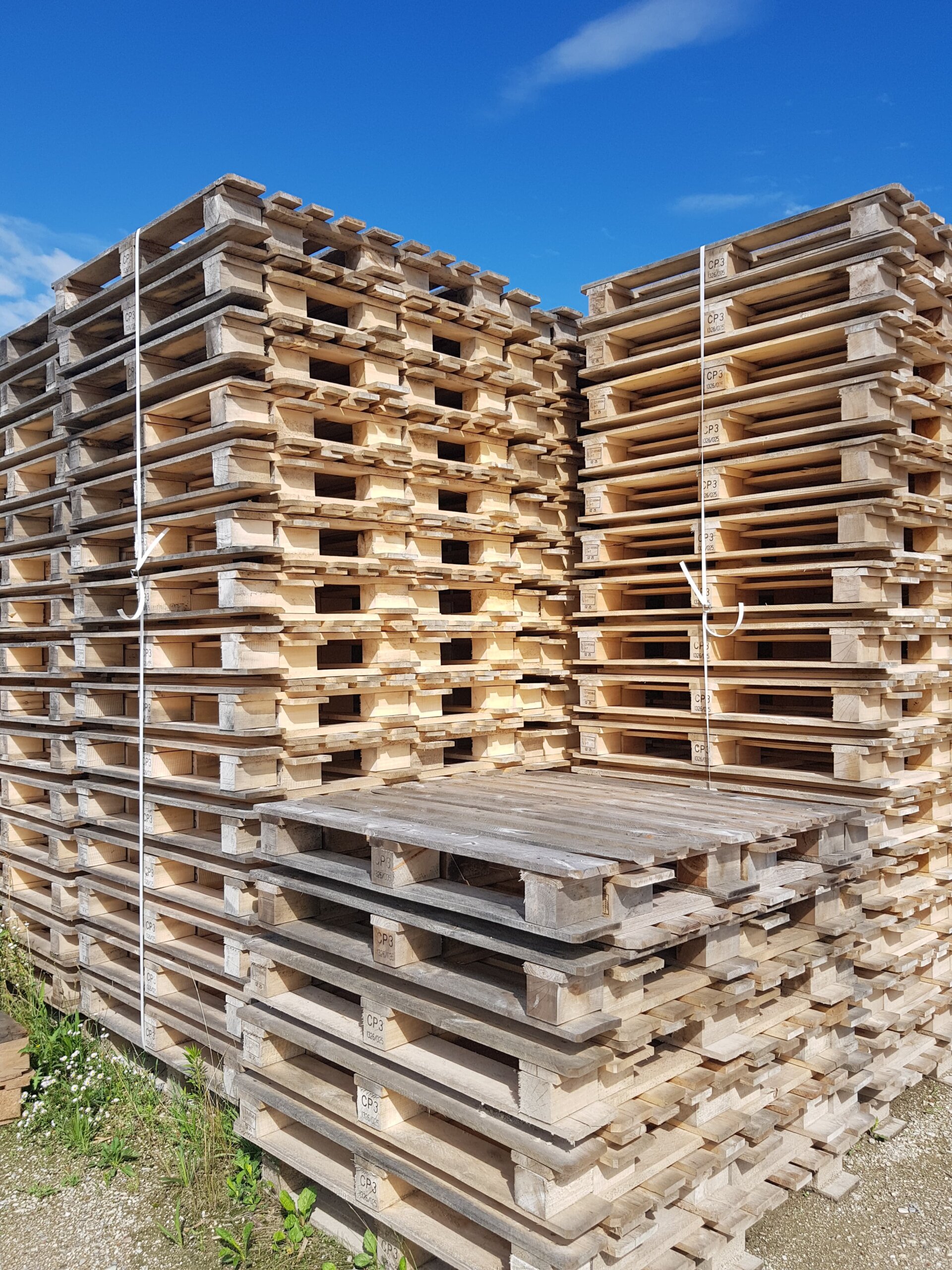 Immagine di pallet americano